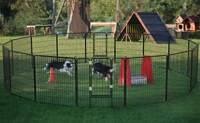 Dog Exercise Pen