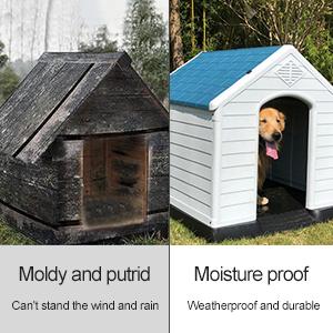 Weatherproof Structural Design