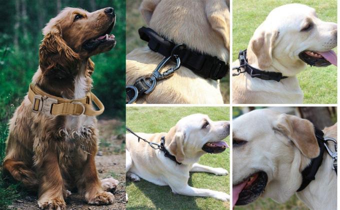 Tactical Dog Collars