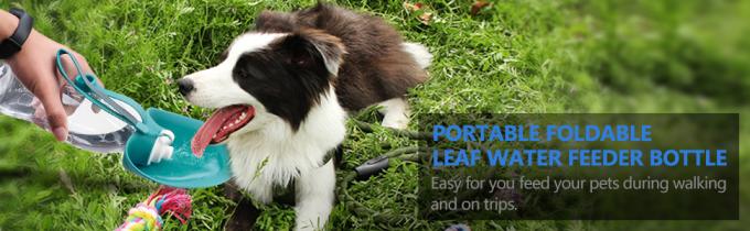 Portable Foldable Leaf Water Bottle