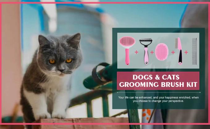 Dog grooming brush kit a+1