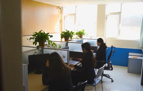 سفارشی 1 کیلوگرم 5 کیلوگرم 10 کیلوگرم 15 کیلوگرم کیسه ایستاده غذای گربه سگ خانگی با بسته بندی مجدد کیسه کف تخت با زیپ 13