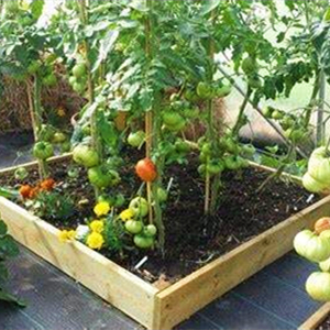 weed barrier heavy duty