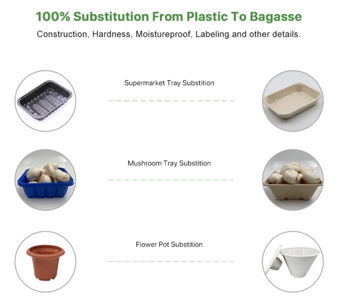 Custom Biodegradable Sugarcane Bagasse Pulp Fiber Fast Food Packing Paper Box Bio Degradable Takeaway To Go Container Packaging