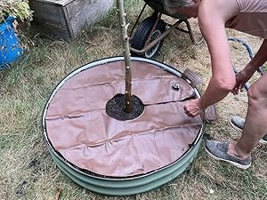 کیسه آبیاری قطره ای درخت، کیسه های آبیاری، کیسه های آبیاری گیاهان، کیسه های آبیاری، کیسه رهاسازی آب، کیسه آب، مثانه، سیستم آبیاری خودکار، کیسه باغبانی در فضای باز 0