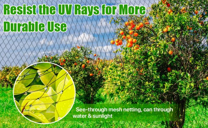 Chicken Coop Predator Proof Apron,Chicken Wire Bottom Predators Resistant,Fence Netting Barrier For Chicken Coop 2