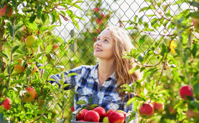 Chicken Coop Predator Proof Apron,Chicken Wire Bottom Predators Resistant,Fence Netting Barrier For Chicken Coop 12