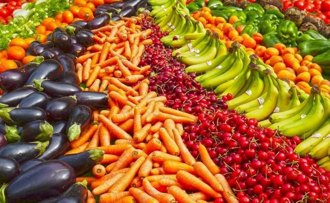 توری باغبانی، پوشش گیاهی 10x33 فوت توری مش فوق العاده ریز توری محافظ برای گیاهان سبزیجات میوه ها گل ها محصولات گلخانه ای پوشش ردیفی پوشش محافظ صفحه نمایش مانع بستر مرتفع 3