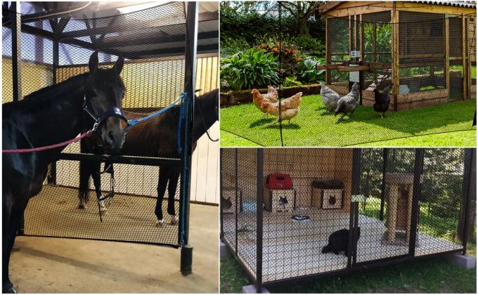 Golf Practice Net, Sports Practice Barrier Net, Heavy Duty Ball Netting Golf Hitting Net, 100% Virgin HDPE Knotless Sport Net Quality Plastic Field Fencing For Outdoor Baseball Football Practices 7