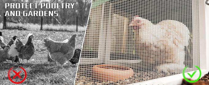 Hardware Cloth Chicken Wire Fencing Hot-Dipped Galvanized Welded Chicken Wire Mesh Roll Metal Fence For Poultry Cage Home Improvement Projects 3