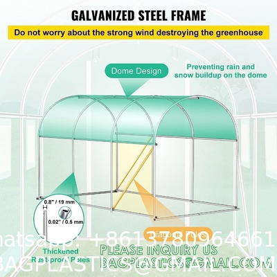 Portable Plant GreenHouse Zippered Door Windows, Galvanized Steel Hoops, Glass Greenhouse, Polycarbonate Greenhouse