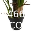 Fake Colocasia Esculenta, Plastic variegata artificial Taro, Subtropics Faux Swiss Cheese Plant For Home Garden Office