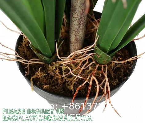 Artificial Plants 6 Pack Onion Tall Grass Greenery, Faux Fake Grass Shrubs Plant Flowers Wheat Grass for House Home