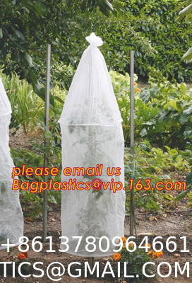 Transparent Low Tunnel Film Perforated For Culture Of Seedling Maturing Vegetables perforated red plastic mulch