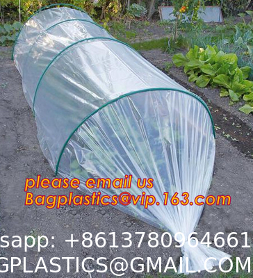 Transparent Low Tunnel Film Perforated For Culture Of Seedling Maturing Vegetables perforated red plastic mulch