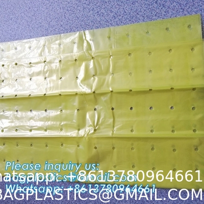 Pe Mulch Film With Holes For Agriculture Perforated Red Plastic Mulch For Peppers Crop Cover For Tomatoes