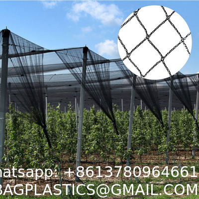 Anti Hail Net Agriculture Mesh HDPE Apple Tree Garden Hail Proof Netting Polyethylene Cheap Price Hail Guard Net Car Hail Protection Net Anti-Insect Hail Netting for Agricultural Apple Trees