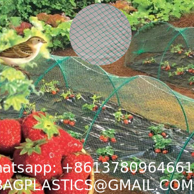 Durable Anti-Bird Trapping HDPE Netting PE Vineyard New Material Bee-Free For Winery Garden Farm & Hunting