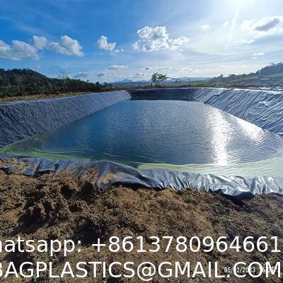 Standard HDPE Geomembrane Pond Liner 1.5mm Black Industrial Modern Design For Agricultural Irrigation Geomembrane Sheet Hdpe Fish Pond Liner