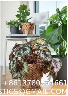 Water Hyacinth Wicker Planter Basket, Small Round Woven Basket For Plants With Metal Pot, Indoor Wicker Plant Pot Eco-Friendly Water Hyacinth Woven Plant Pot – Round Basket with Inner Saucer, Deco