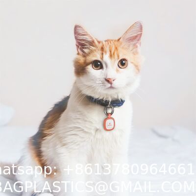 QR tag Ring Pet Tag QR Code Tag Silicone tag rubber tag Personalized Metal Text Stainless Steel Diy Custom Logo Necklace Pet Dog ID Handmade Gifts China Jewelry Pendant Hang Name Tag