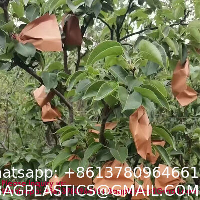 Paper Fruit Bags Paper Vegetable Bag Fruit Protective Bag Vegetable Protective Bag Apple Cover Bag Fruit Cover Bag Apple Wrap Bag Fruit Wrap Bag Pollen Bag Mango Bag Grape Bag Pear Bag Guava Bag