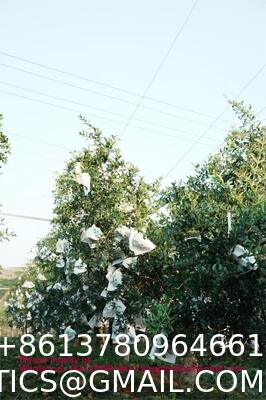 Custom Fruit Protection Bags Double-Layer Thickened Paper Bags Universal For Pear & Apple Trees Factory Wholesale Protection Bags Sunproof, Insect & Disease Resistant