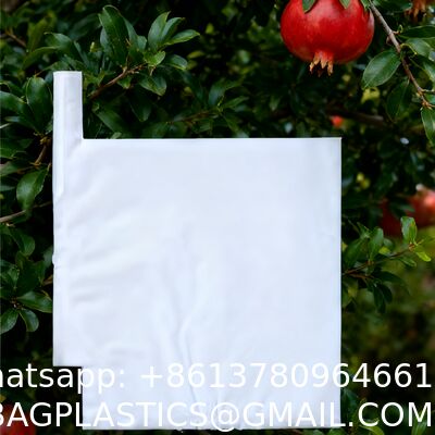 Custom Fruit Protection Bags Double-Layer Thickened Paper Bags Universal For Pear & Apple Trees Factory Wholesale Protection Bags Sunproof, Insect & Disease Resistant