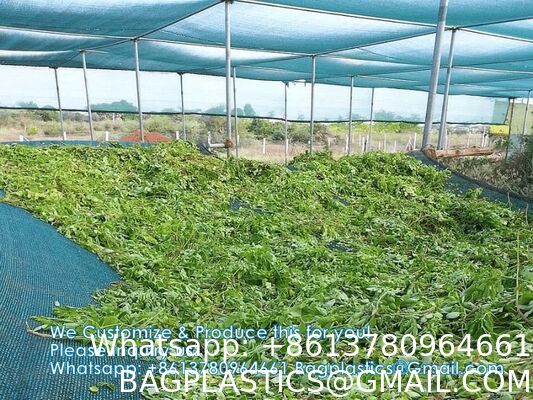 Agricultural Uv Protection Dark Green Lightweight Shading Net 80GSM 2 Needles Green HDPE Tape Shade Net Farm Shade Net Uv Protected 90% Agricultural Shade Mesh